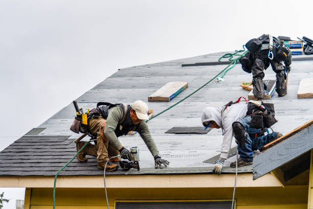 Professional Roof Replacement technician working in Columbia, CT